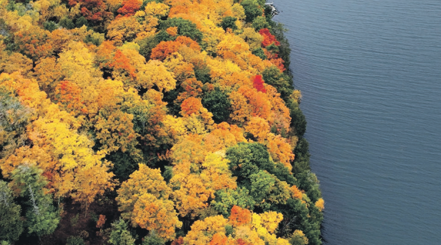 <p>NEW HORIZONS Fall colours over Adolphus Reach (Michael Rayias for the Picton Gazette)</p>
